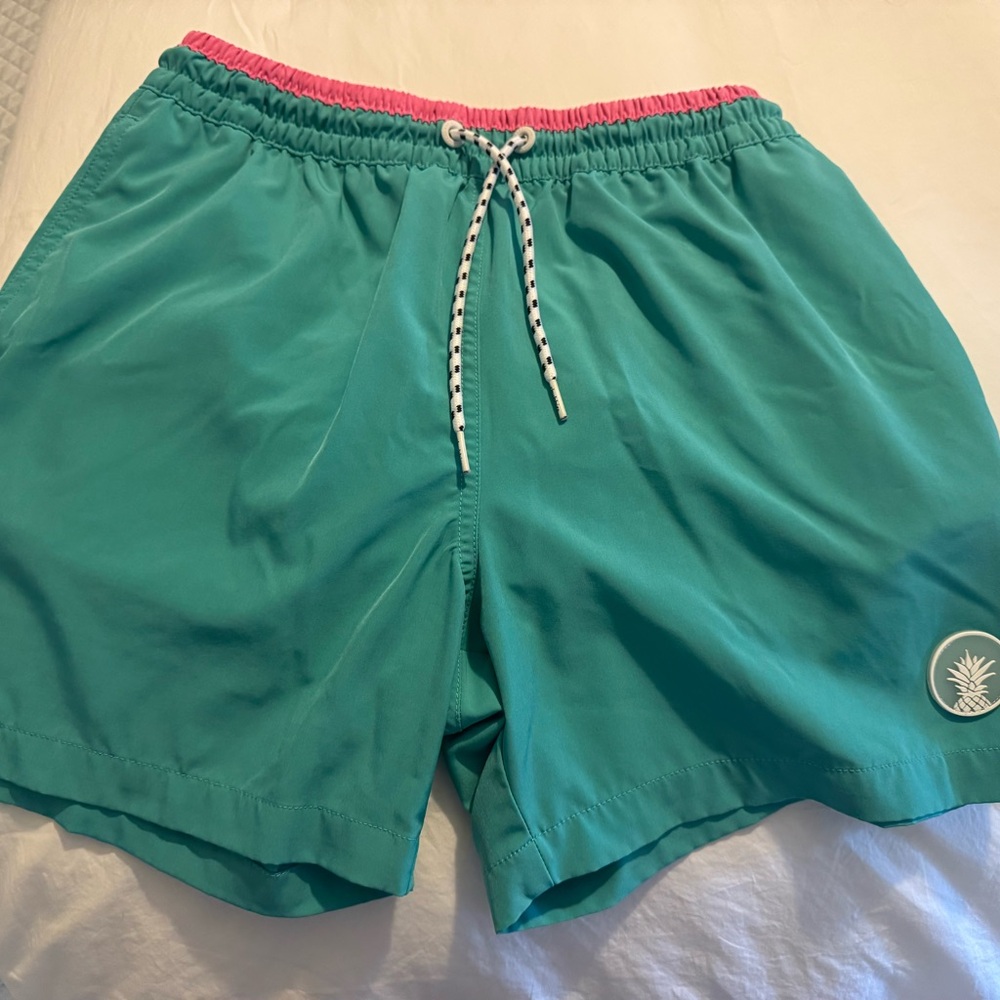 Chubbies Green and Pink Swim Trunks Quick-Dry Relaxed Fit